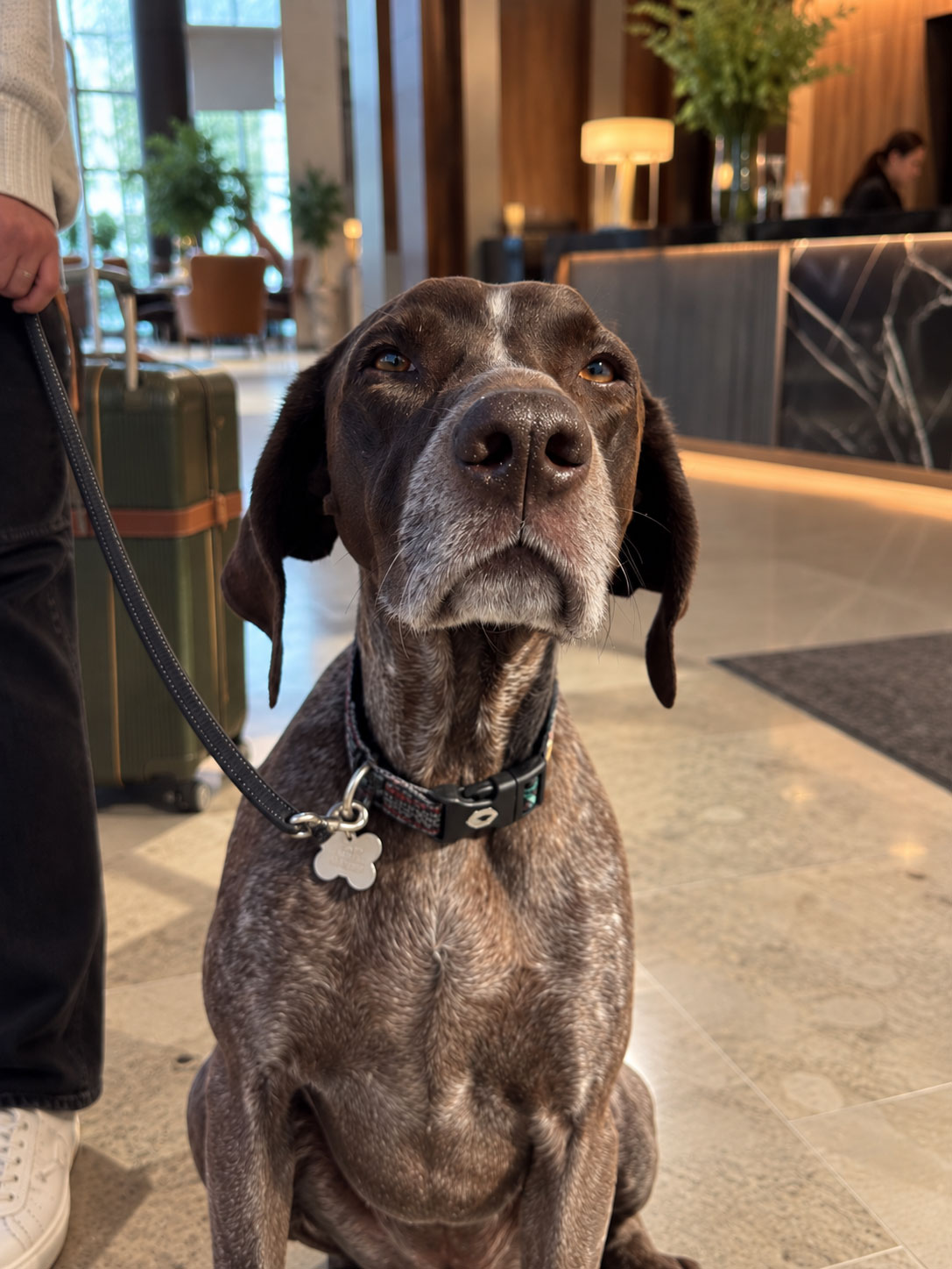 Hotel front desk